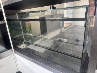Aquarium - 2