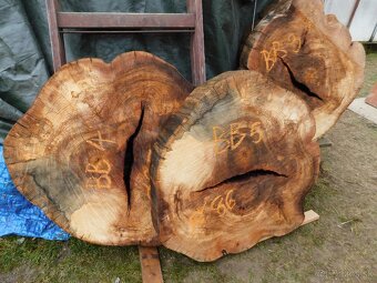 Atypické a nadrozmerné fošne a koláče, orechové drevo - 2