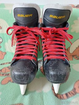 Predám korčule Bauer Supreme One Elite. - 2