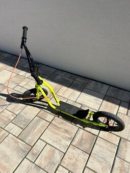 Kolobezka Arcore Rakoon - 2