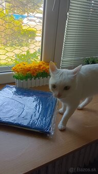 Rozkladací Stan- domček pre mačky a psy - 2