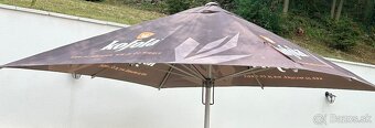 slnečník veľký (kofola) - 2