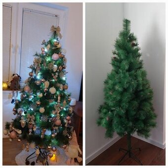 Vianočný stromček borovica - 2