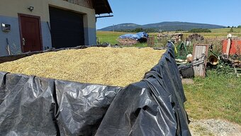 Lúčne seno , Ovos - 2