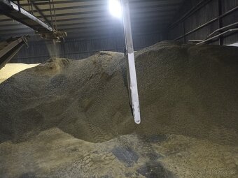 Repkové výlisky - 2