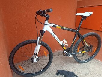 -----AUTHOR------ - 2