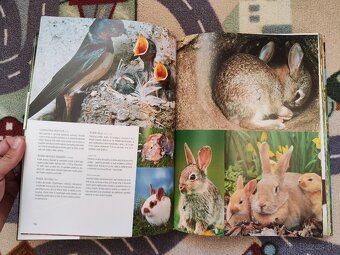 1000 mláďat (SK) - 2