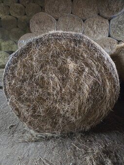 Predám seno/senáž - 2