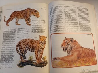 Pestrá príroda - 2