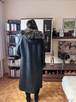 Hnedá líška - 2