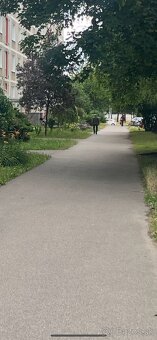 Prenájom 1 izbový byt, Dubnica nad Váhom - 2