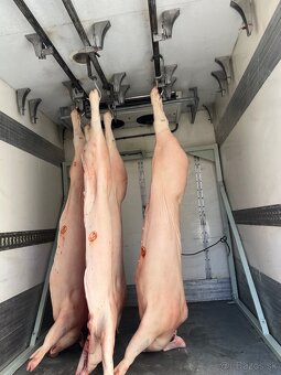 Iveco daily 2,3 85 kw - 2