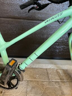 Specialized Jett 20 Single speed Gloss Oasis/Forest Green - 2