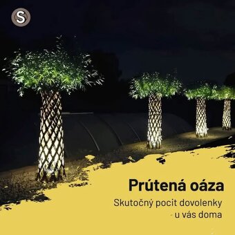 AKTUÁLNE❗PLETENÁ VŔBA, AMERICKÁ vŕba Salix ❗180CM ❗CELÉ SK❗ - 2