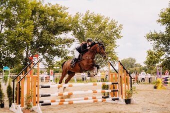 Jazdenie na koni - 2