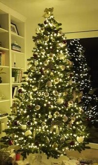 Vianočný stromček 240cm veľmi hustý - 2