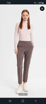 Bledoružový rolák - 2