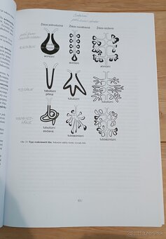 Lekárska histológia - 2
