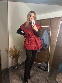 Vesta s brošňou - 2