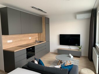 1 izb. klimatizovaný byt Ovocne sady - 2