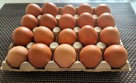 domáce vajcia/domáce vajíčka - 30 ks - 2
