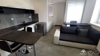 DELTA - Útulný, moderný 1-izbový byt s balkónom na prenájom - 2