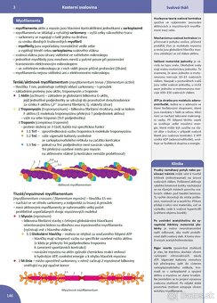 MEMORIX HISTOLOGIE (3. vydanie, PDF) - 2