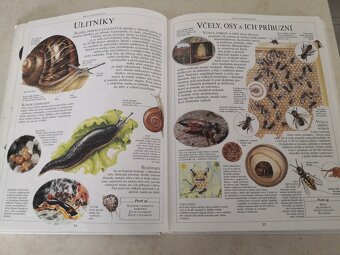 Detská ilustrovaná encyklopédia - predám - 2
