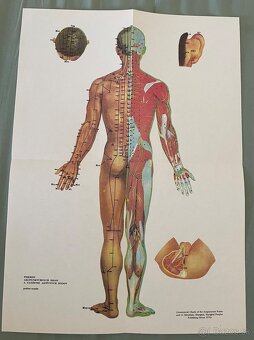 Praktická Akupunktúra - J. Šmírala. len za 20 eur - 2