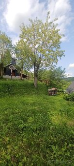 Predam Agátový med - 2