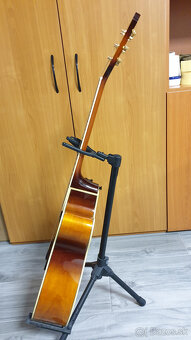 Elektroakustika Ibanez - 2