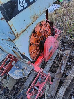 Predám sadzac cesky - 2