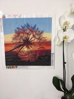 Hotový Pekný diamantový obraz - 2