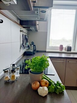 2-izbový byt do prenájmu Lodenica Piešťany - 2