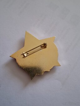 Odznak Vzorný pracovník VB - 2