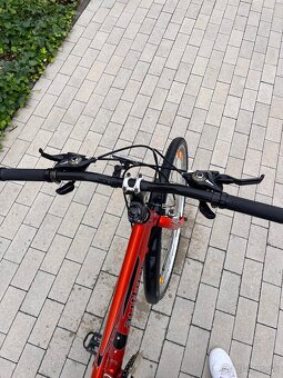Damsky bicykel Author Thema - 2