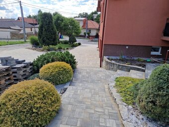 Zamková dlažba - 2