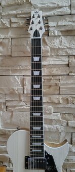 Elektrická gitara. Les Paul. - 2