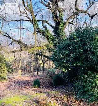 Chata na Jelenci - 2