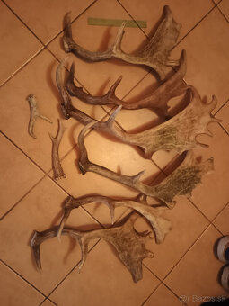 Parohy, zhody, trofej - 2