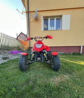 Bashan 250 - 2