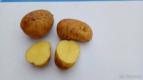 Konzumné zemiaky - 2