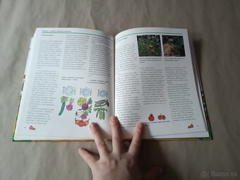 Malý záhradkár: Okno do prírody - 2