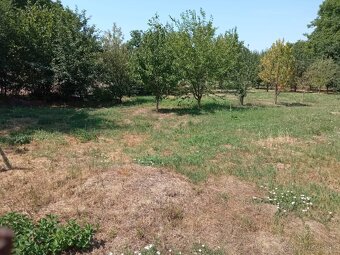 Ponúkame Vám na predaj pozemok v obci Gibárt - 2