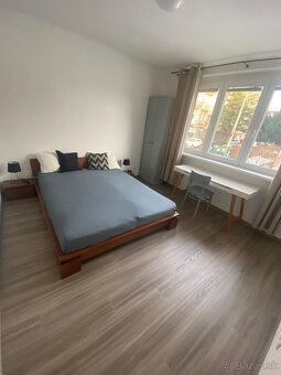 2 izb. byt v na  prenajom s možnosťou pet friedly. - 2