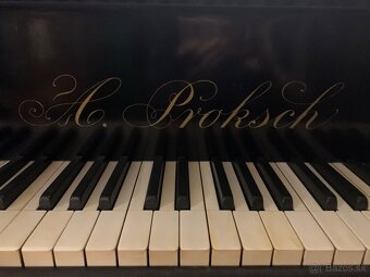 Predám starožitné krídlo J.PROKSCH - 2