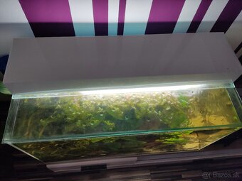Akvárium 160l - 2