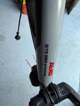 strunova kosacka - 2