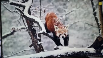 Predám TV LG 75UJ675V 4k 75" 190cm - 2