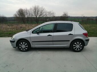 Peugeot 307 1.6 XS - 2